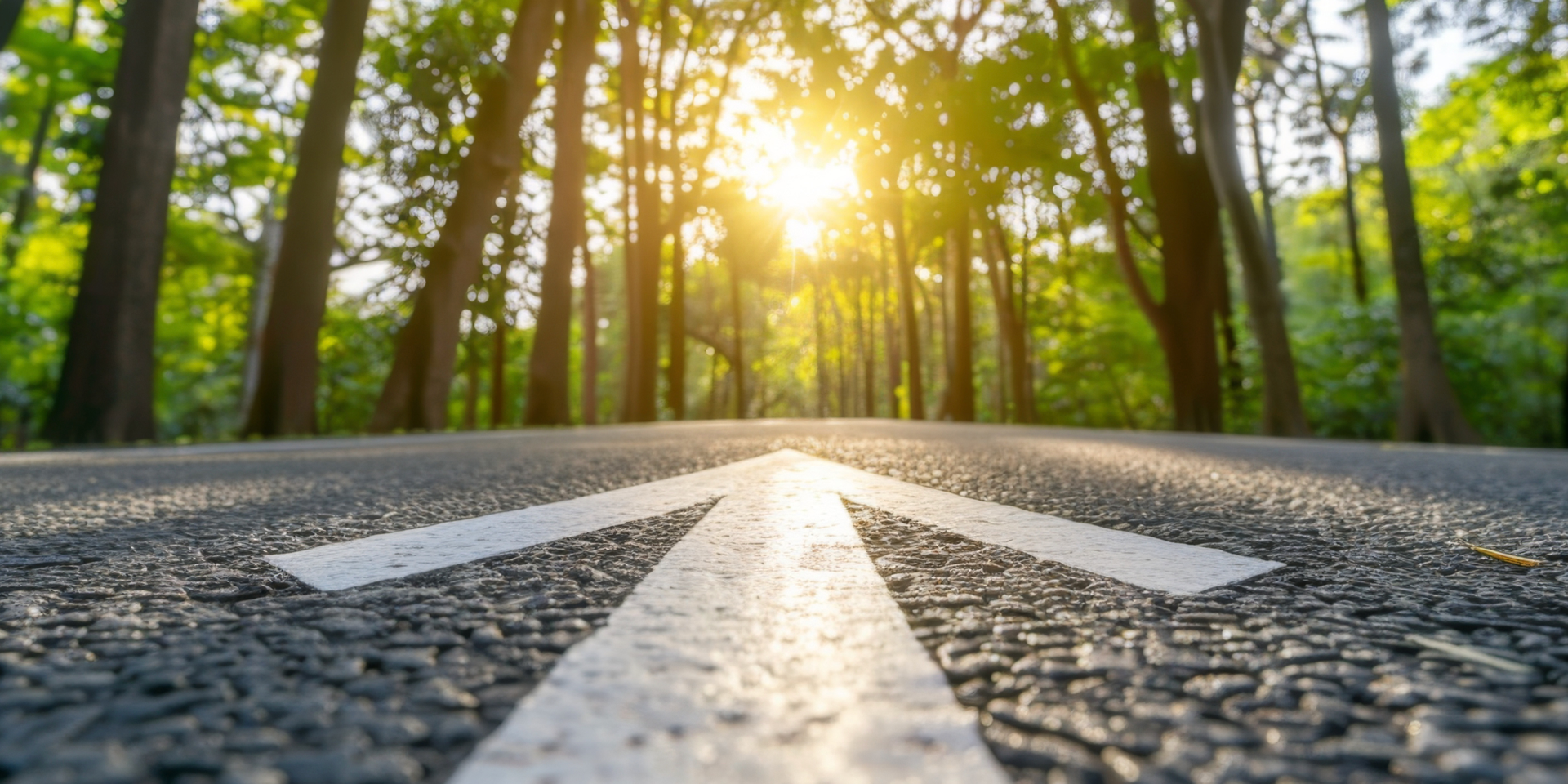 Shell Renewable Diesel (HVO) – nachhaltiger paraffinischer Kraftstoff aus Abfall- und Reststoffen, bis zu 90 % weniger CO2-Emissionen